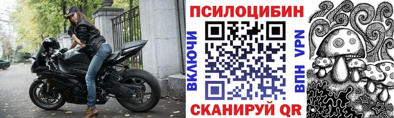 Псилоцибиновые грибы Magic Shrooms  Купить где  Москва 