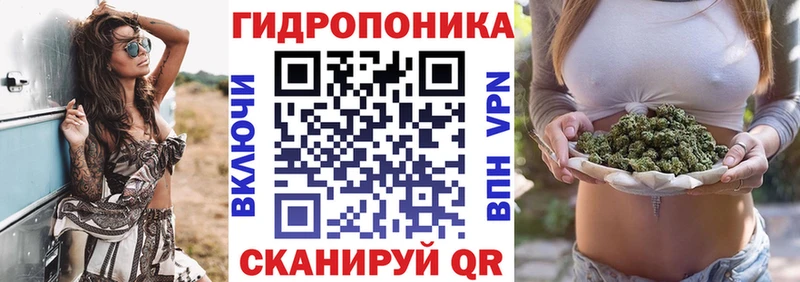 Шишки марихуана SATIVA & INDICA  Купить закладки  Москва 